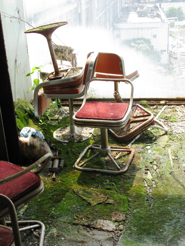 toyo bowl moss chairs